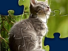 Animal Shape Puzzle