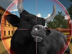 Bull Shooting