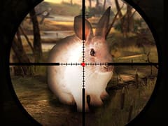 Classical Rabbit Hunting