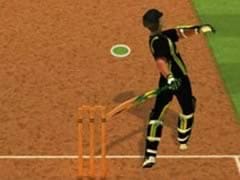 Cricket Batter Challenge