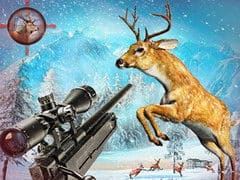 Deer Hunting Sniper Shooting