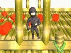 Ninja Runs 3D