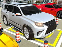 Parking Master 3D