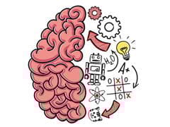 Brain Test
