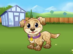 My Puppy Play Day