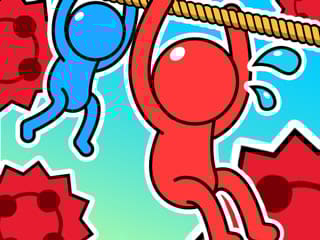 Rope Puzzle