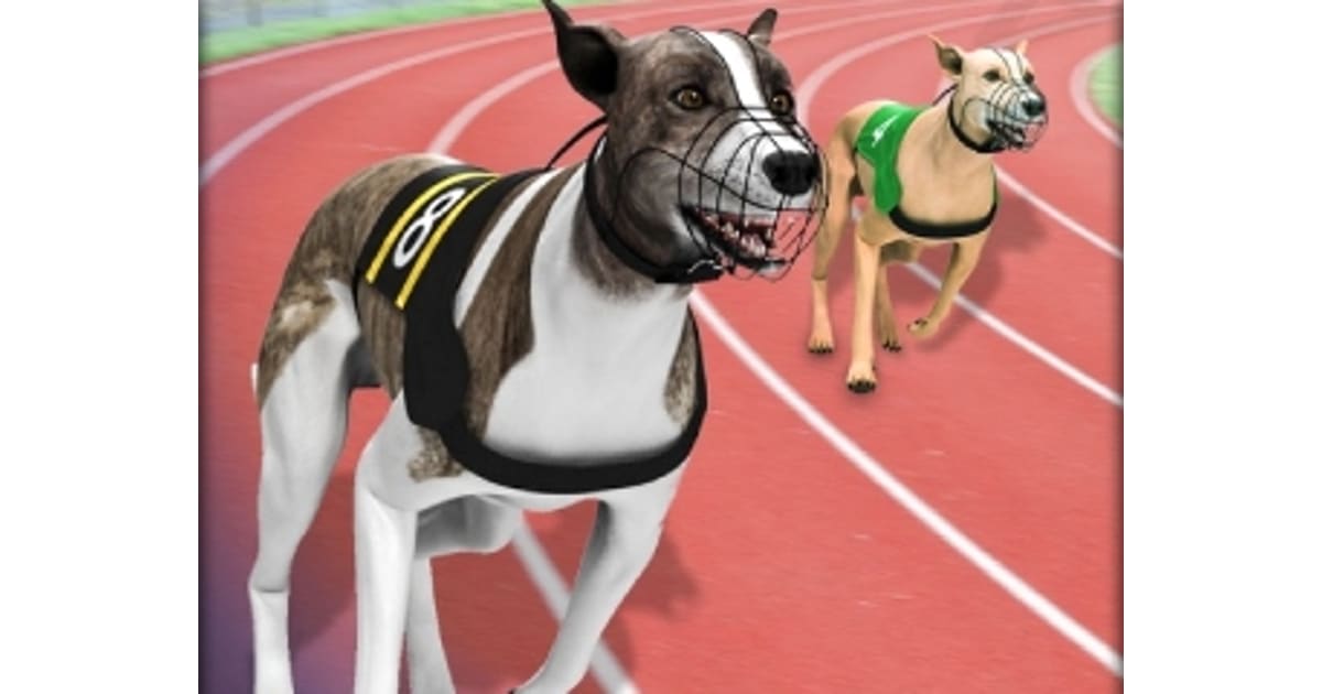 Greyhound Racing - Play Greyhound Racing Online - BestGames.Com