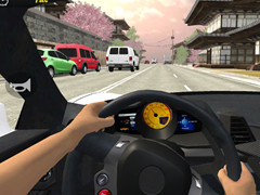 Furious Racing 3D